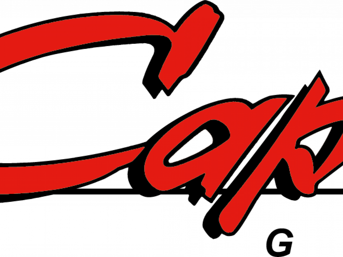 Logo Groupe Capelle